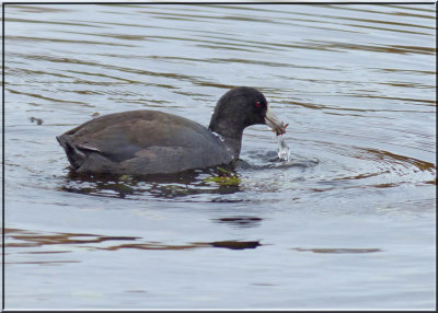 Lunch at the marsh