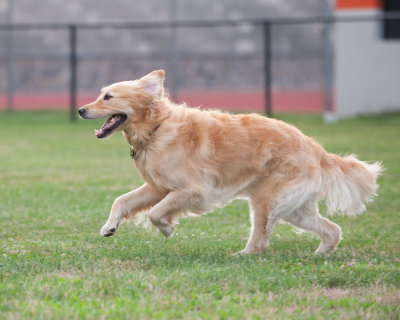 DSC_3920.jpg
