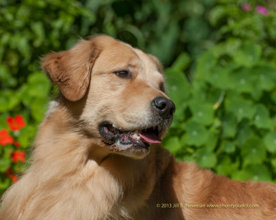 DSC_7203.jpg