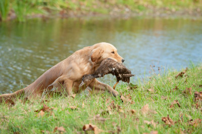 DSC_9574.jpg