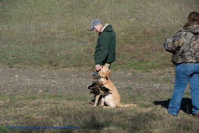 DSC_0185_TomWatson.jpg