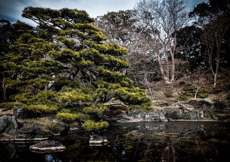 Japan Winter/Spring 2014
