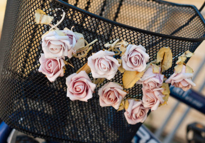 flowers on a basket