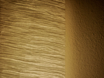 Paper and Plaster texture (1st test shot with new 45-200 lens) 