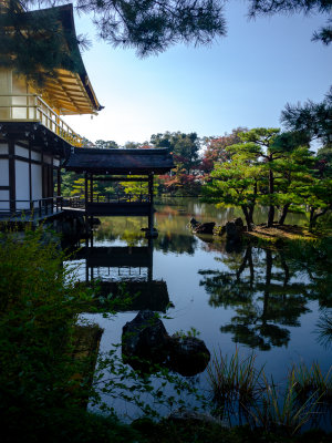 Kinkakuji pavilion and reflection lake from the back. Kyoto, Japan