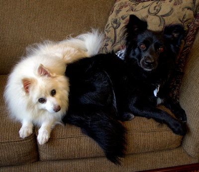 Ramzi and Corrie