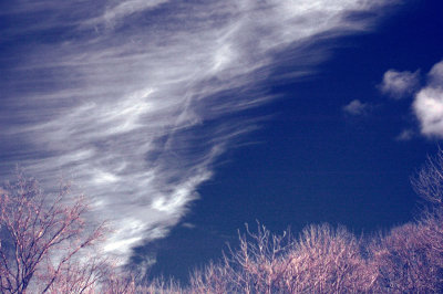 DSC_4272_ir_actn_sclr.jpg