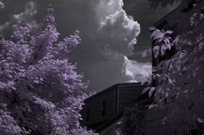 DSC_4612_ir_hue.jpg