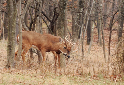 DSN_0578_spar_crop.jpg