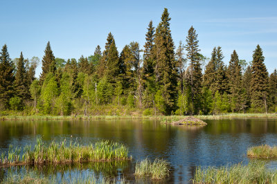 Beaver Lodge near Meadow Lake, Saskatchewan