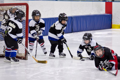 All future NHLers.