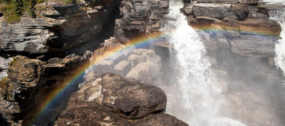 Athabasca Falls approves of the Irish vote