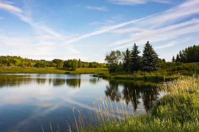 Rundle Park
