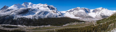 Columbia Icefield from Wilcox Pass