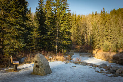 Whitemud Creek. Sunday Morning