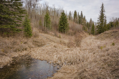 Windermere Ravine