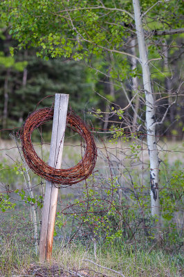 Beside the Rocky Mountain Legacy Trail