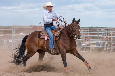 Penning at Busby, Alberta