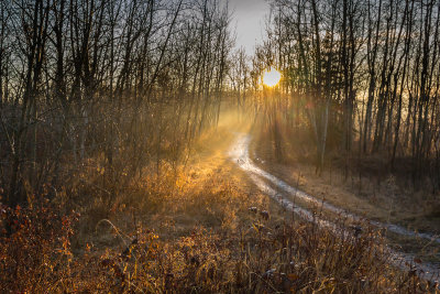Here Comes the Sun