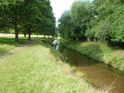 Beverley Brook