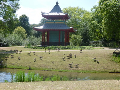 Chinese Pagoda in Victoria Park