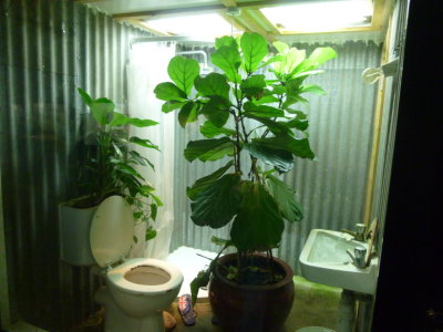 g9/25/794325/3/161388048.FLf7onsq.jpg