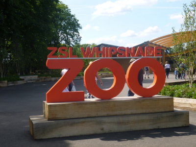 All the remaining photos were taken at Whipsnade Zoo