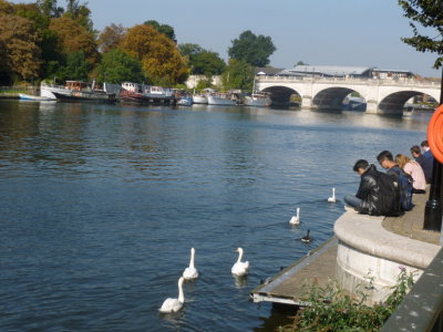 First sight of the Thames at Kingston Bridge