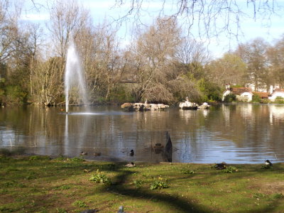 Pelican Rock in St Jamess Park