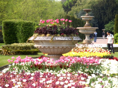 Regents Park in springtime