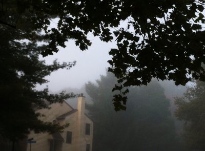 Misty