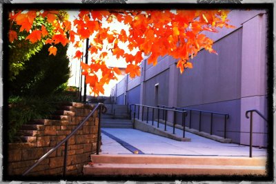 Alley
