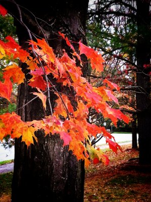 Fall 4