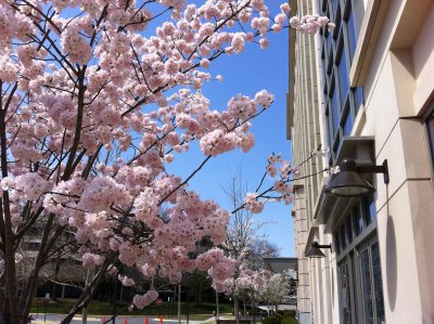 Spring 4