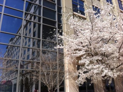 Spring 3