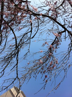Spring2
