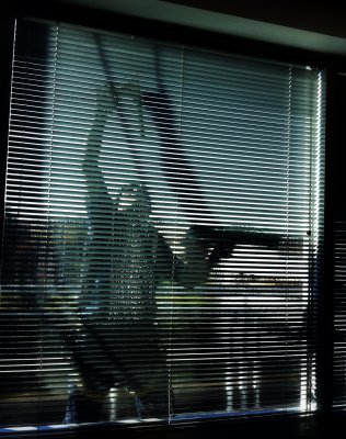 Washing Window