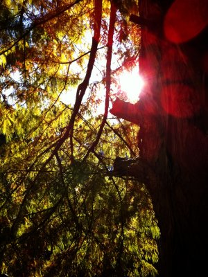 Hello Sun
