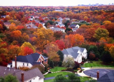 From Top Roof 1