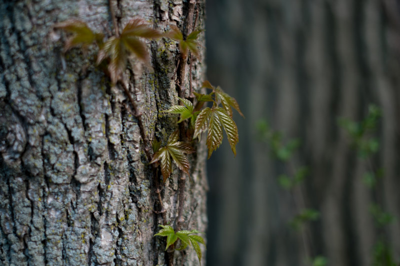 g9/25/829825/2/150158688.XN39rMsT.jpg