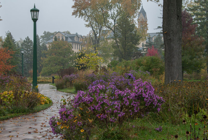 g9/25/829825/2/157819625.rBdCCS4Q.jpg