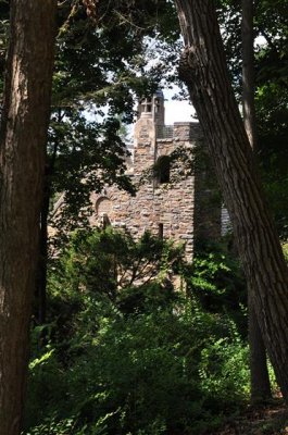 DSC_1908.JPG