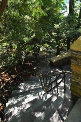 DSC_1916.JPG
