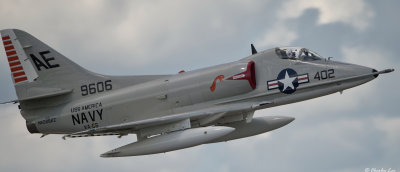 D4M_7242.jpg