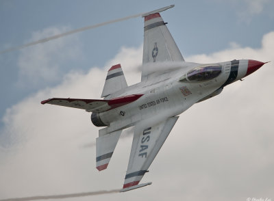 D4M_9513.jpg