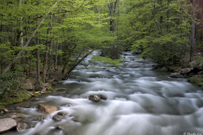 Little Pigeon River, Great Smoky Mountains