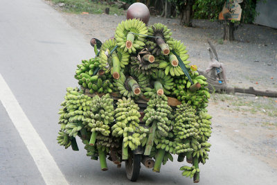 Banana Transport 