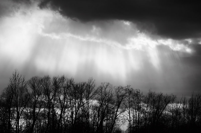 GLR_2BR5540 1.jpg