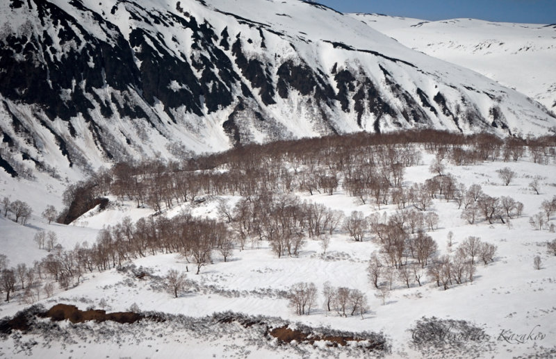 Kamchatka_063.jpg