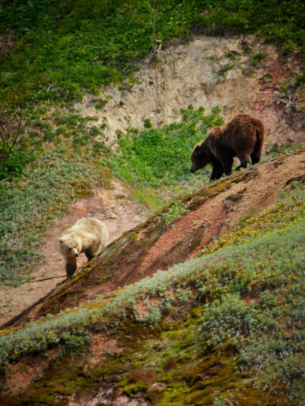 Kamchatka_079.jpg